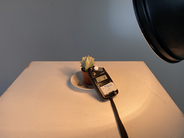Metering Flash Icon Metering the flash