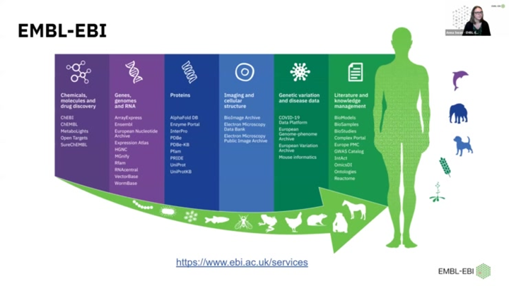 Introductory bioinformatics Q&A session: genes and gene expression