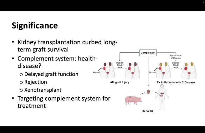 Exploring the Role of Complement Activation in Kidney Transplantation ...