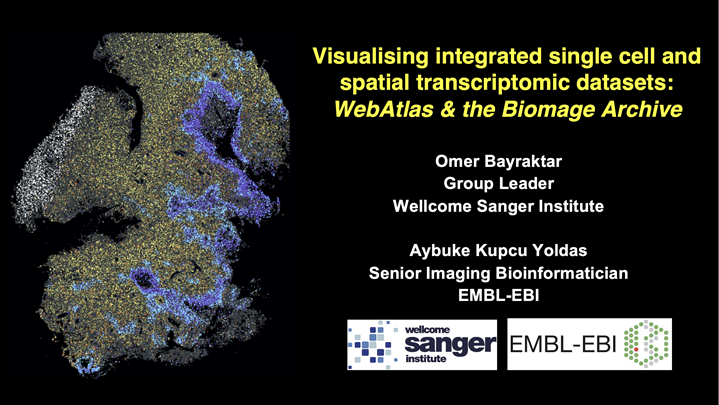 Visualising integrated single cell and spatial transcriptomic datasets