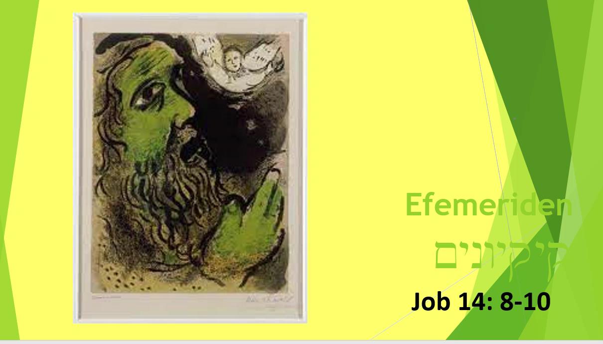 1251-Job 14.11-12