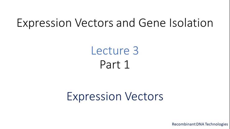 Lecture 3.1 Expression Vectors