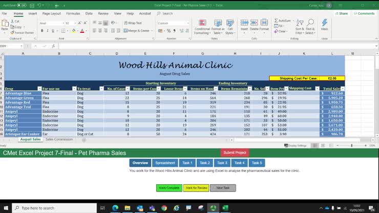 MOS Excel - Project 7 - Final Answer 2019