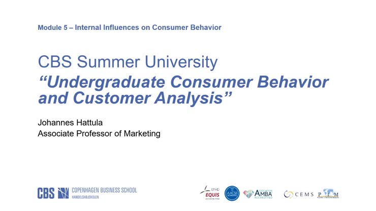 Undergraduate Consumer Behavior and Customer Analysis - Internal ...
