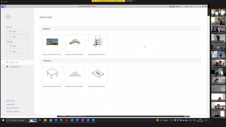 BIM - Terræn 2 - Omdannelse af DFX-filer til terræn-fil i revit