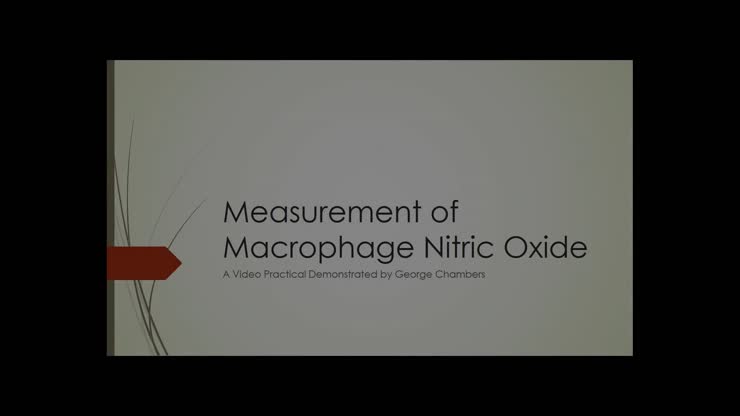 Macrophage Nitric Oxide Measurement Practical Demonstration
