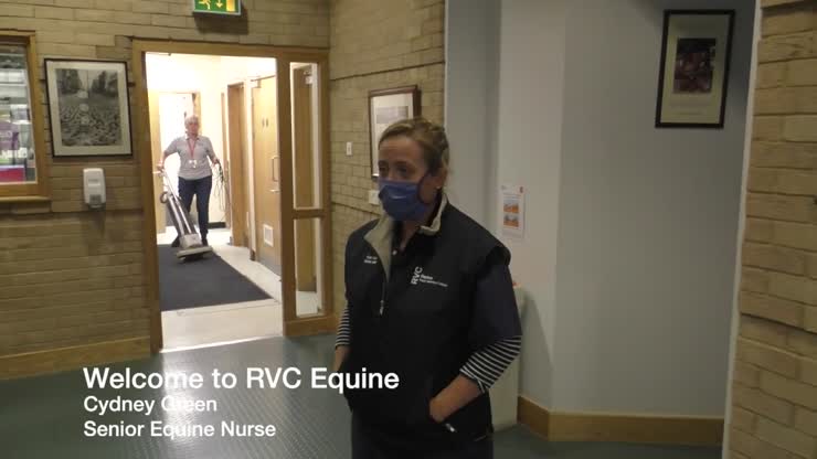 RVC ERH Induction Video Hospital Tour