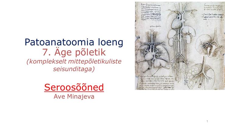 Video_Põletik7_serooskelmed