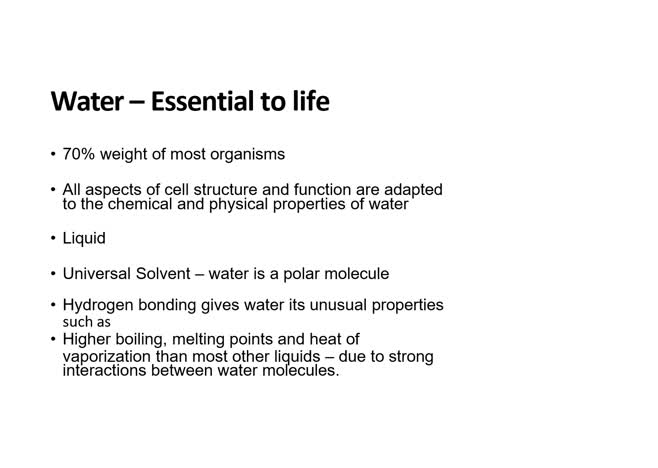 BC5004 Session 1B Water and the Hydrophobic Effect